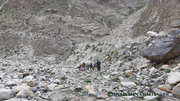 Classic Karakorum (Gondogoro Pass Trek)