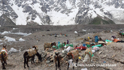 Classic Karakorum (Gondogoro Pass Trek)