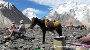 Classic Karakorum (Gondogoro Pass Trek)