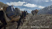 Classic Karakorum (Gondogoro Pass Trek)