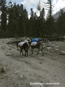 Nanga Parbat Base Camp