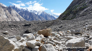 Classic Karakorum (Gondogoro Pass Trek)