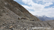 Classic Karakorum (Gondogoro Pass Trek)