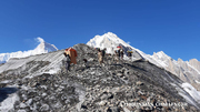 Klasyka Karakorum (Treking przez Przełęcz Gondogoro)