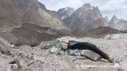 Classic Karakorum (Gondogoro Pass Trek)