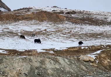 Odkrywanie Północy - Gilgit